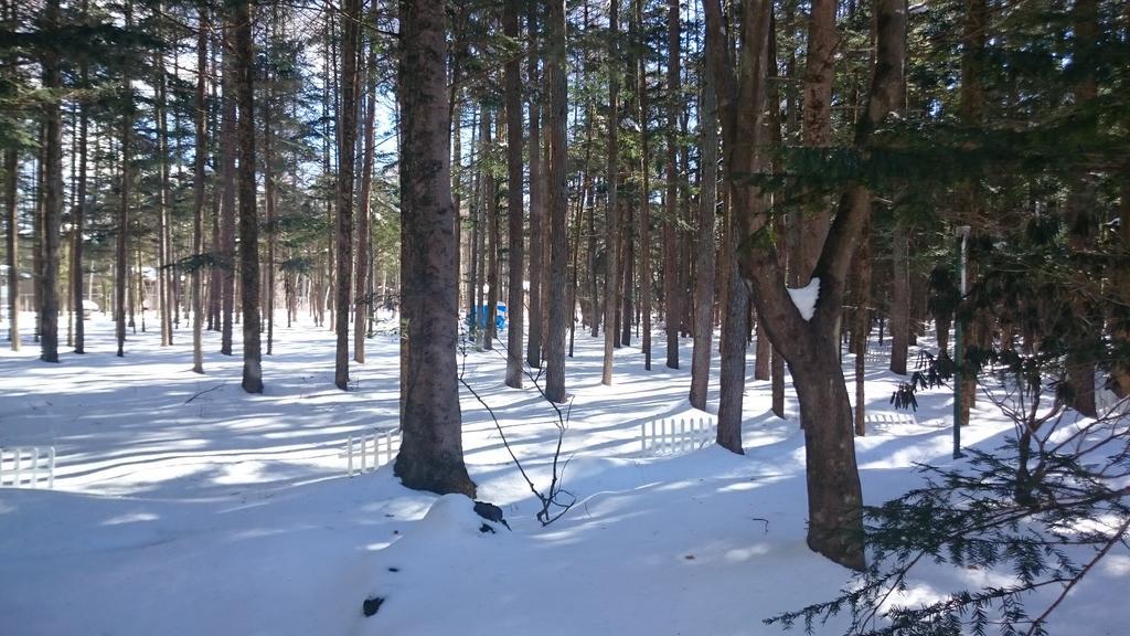 Pension Candytuft Karuizawa Exterior photo